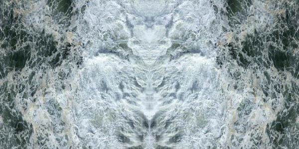 Creatures of the water